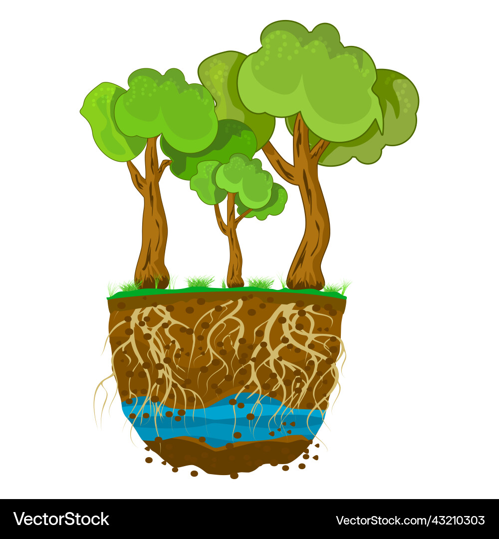Trees with root system in soil Trees with root system in soil vector image