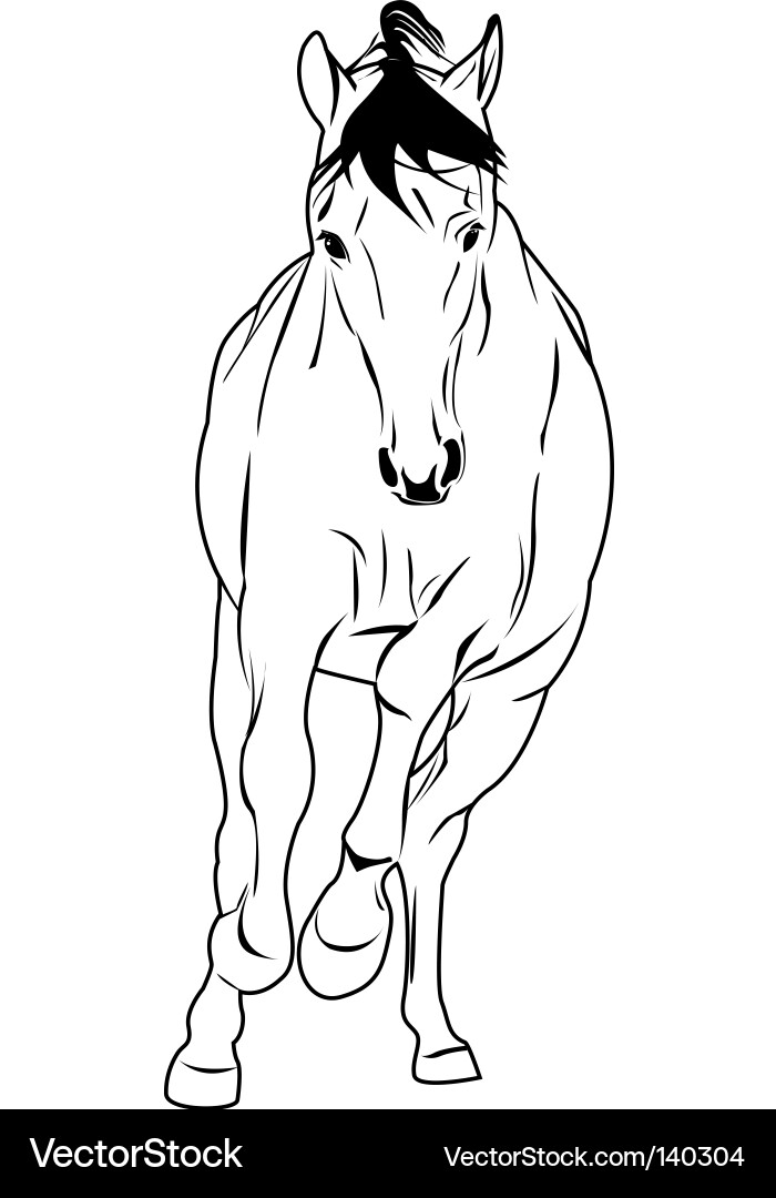 Elegant Horse Sketch vector image
