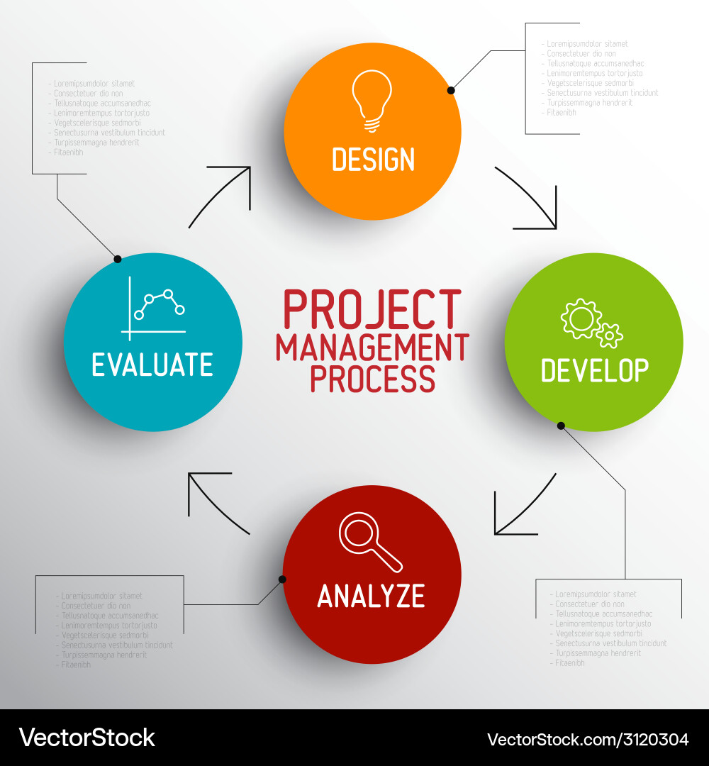 Project Management Process Flowchart vector image