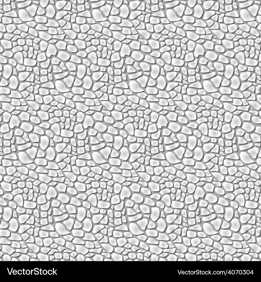 Scaly Texture Pattern vector image