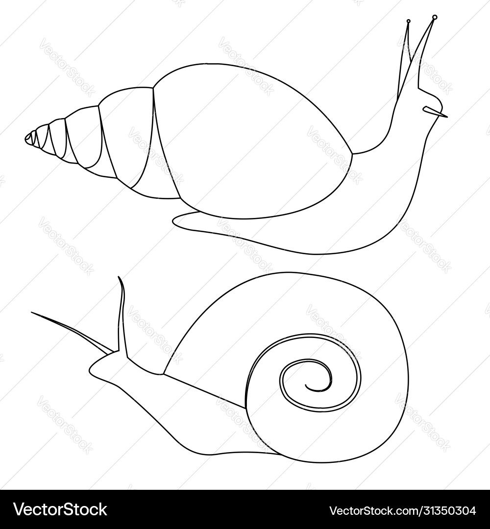Set outline snails various shapes objects Set outline snails various shapes objects vector image
