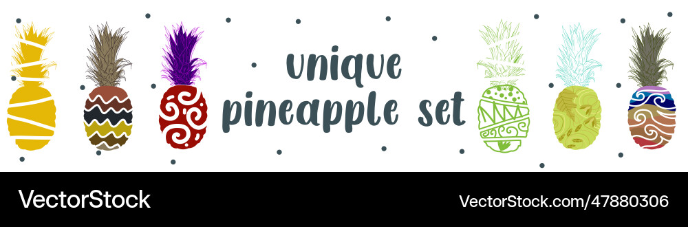 Unique abstract pineapple set for pattern Unique abstract pineapple set for pattern vector image