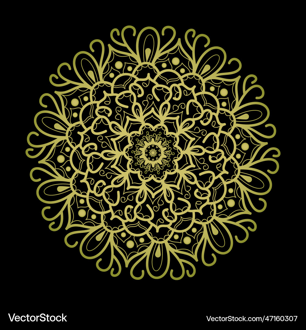 Beautiful symmetrical pattern in the form vector image