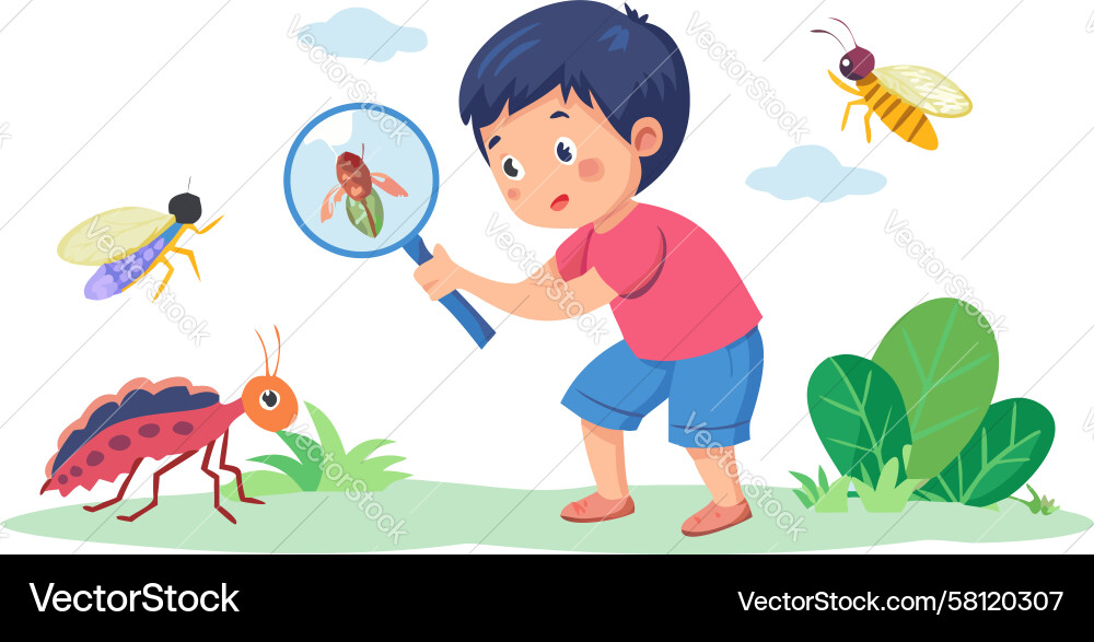 Child Playing with a Bug Vector Image