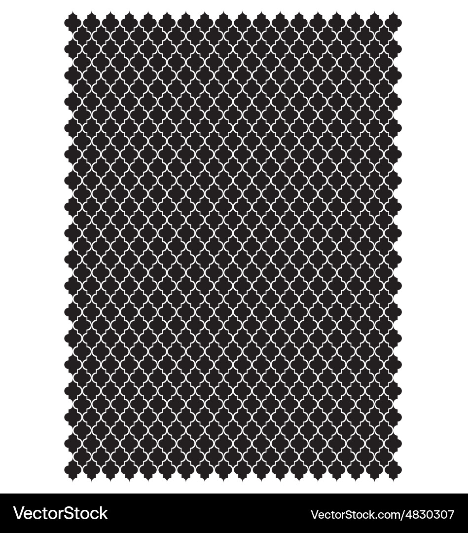 Intricate Tracery Pattern vector image