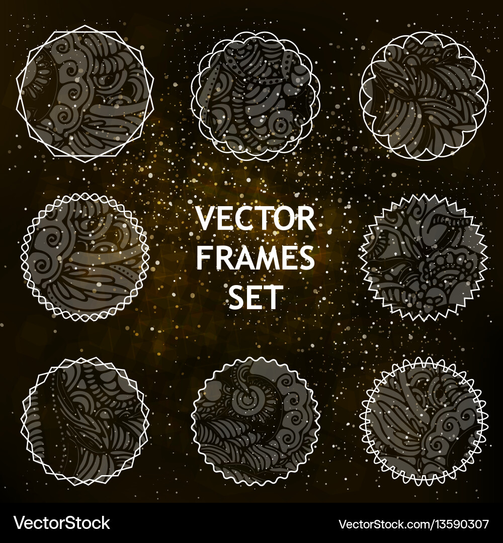 Ornate Patterned Frames & Vignettes vector image