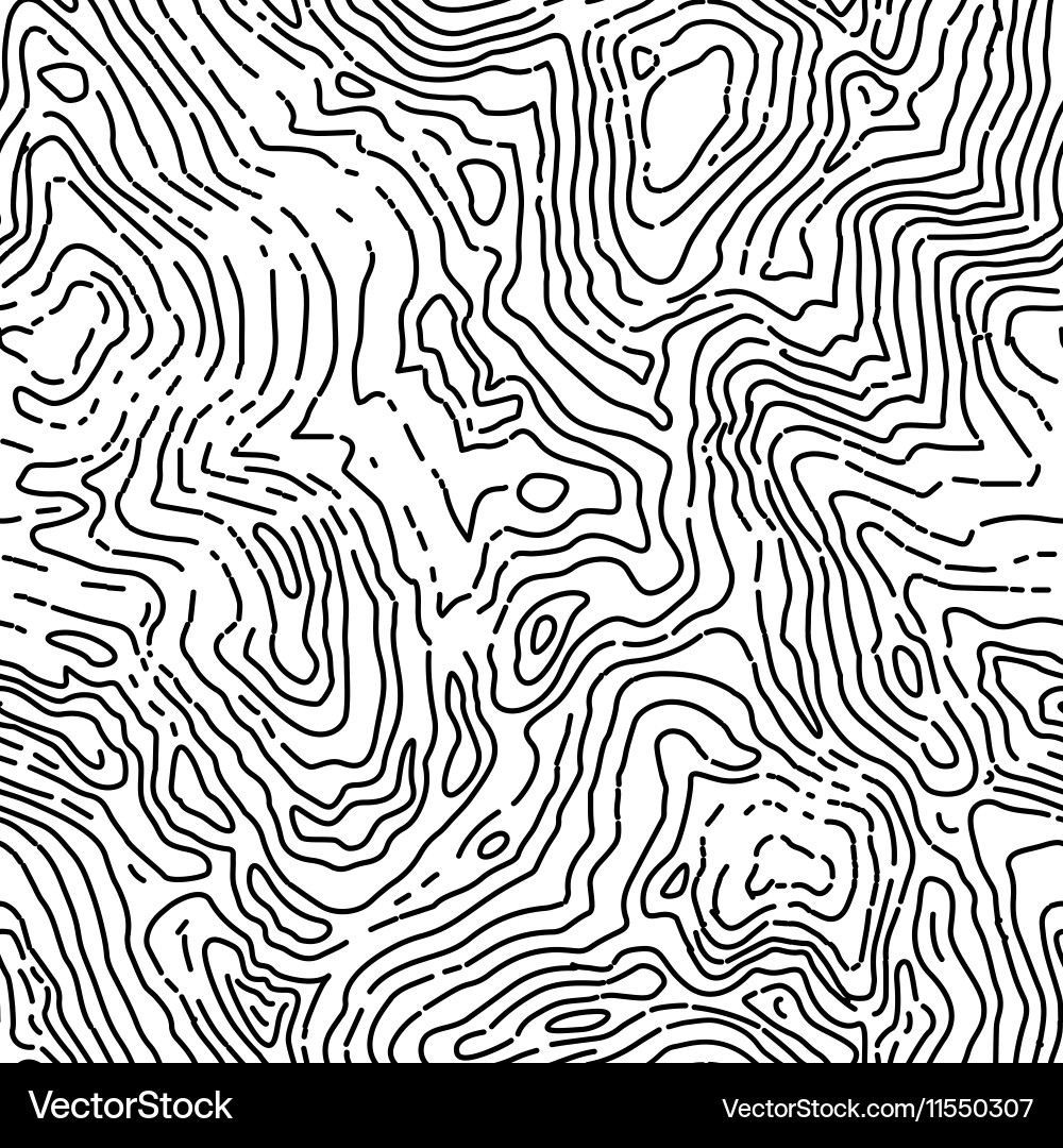 Topographic Contour Map Pattern vector image