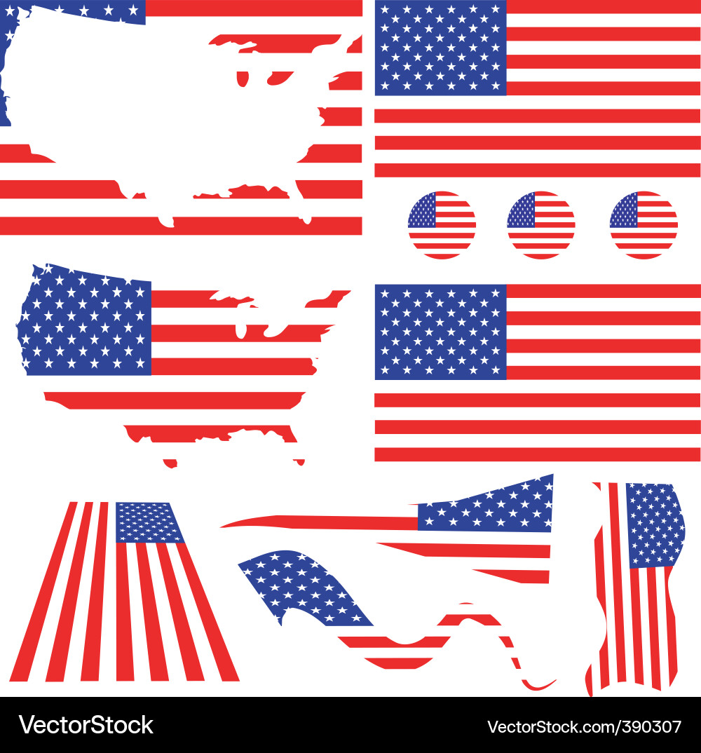 Usa flags vector image