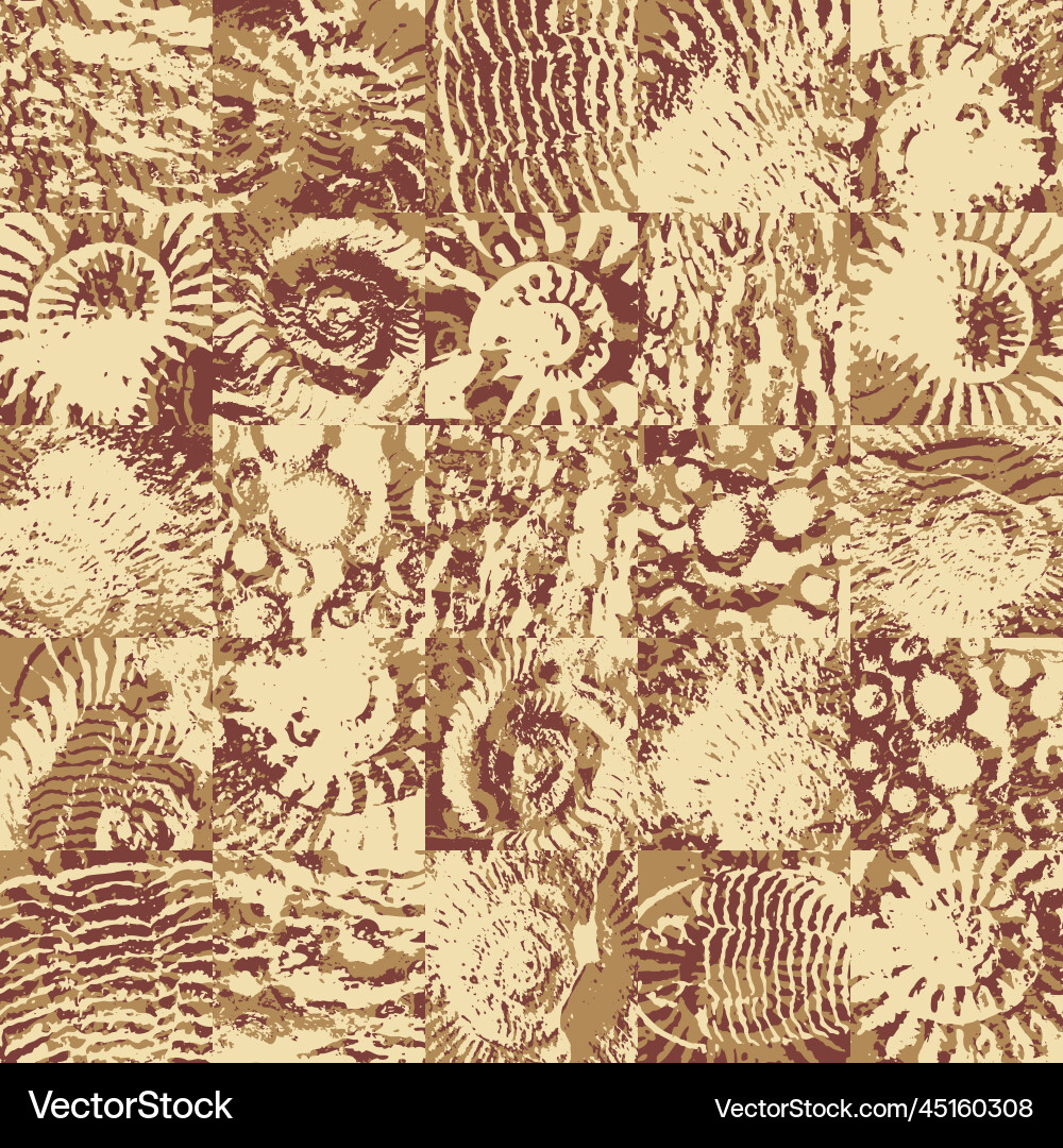 Ancient Fossil Stone Pattern vector image