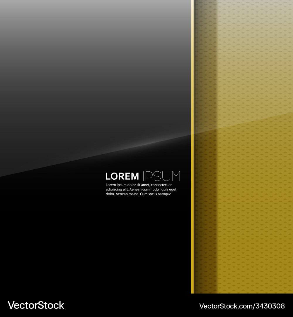 Dark glossy blank with a background texture vector image