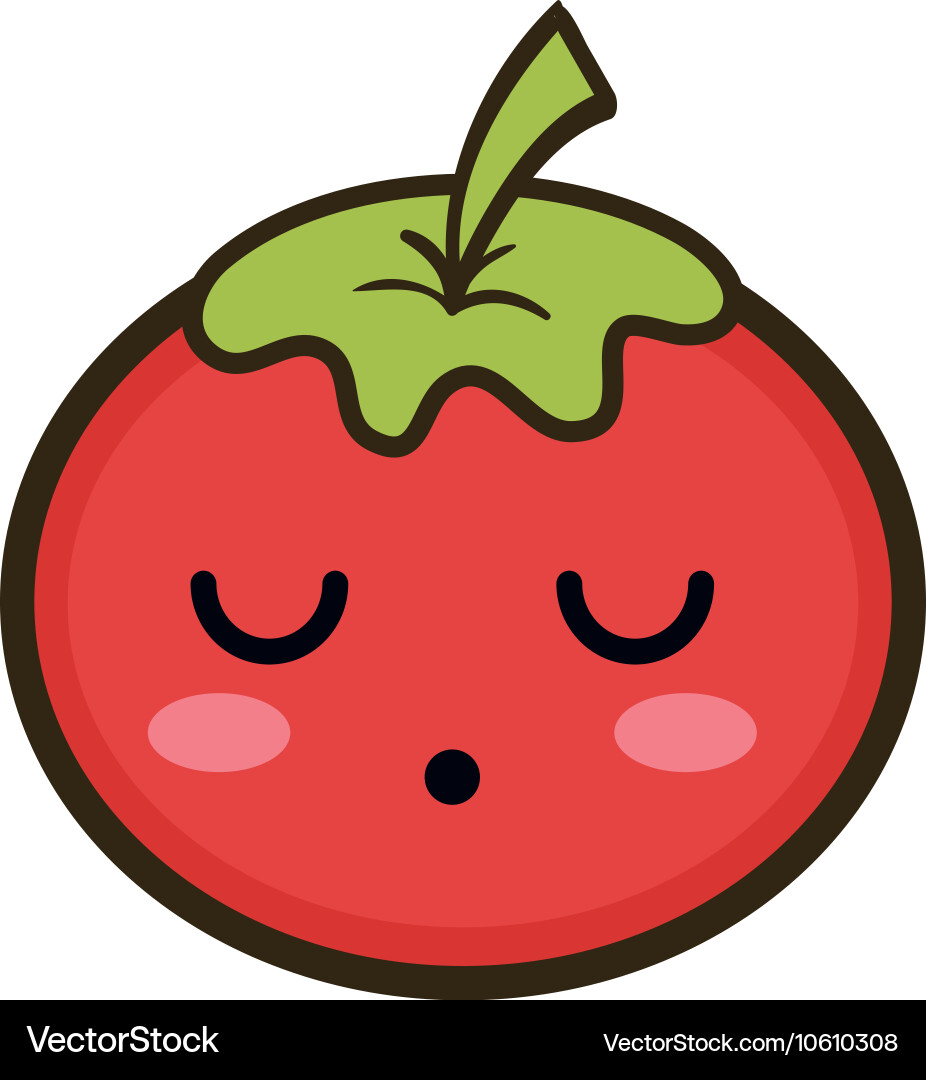 Red tomato vegetable Royalty Free Vector Image