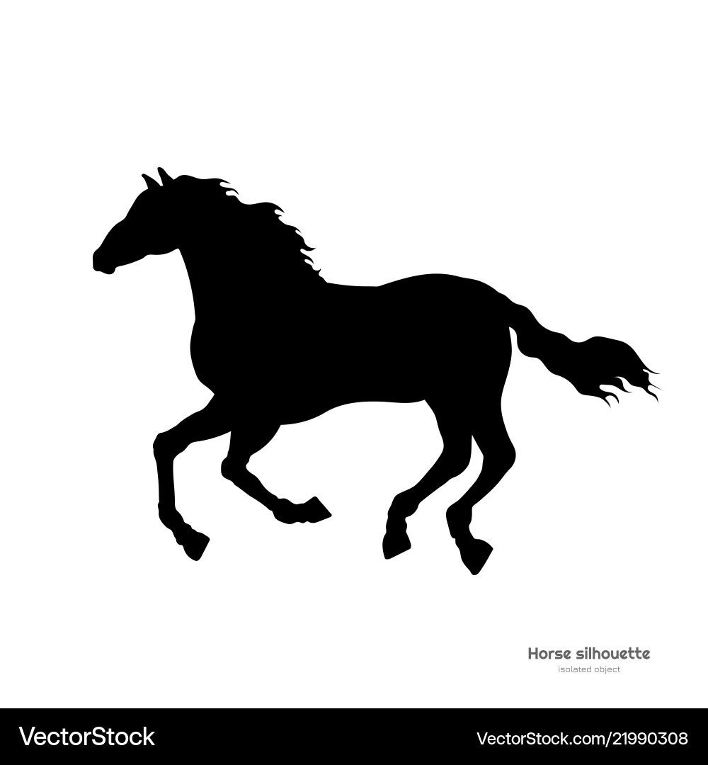 Running Horse Silhouette vector image