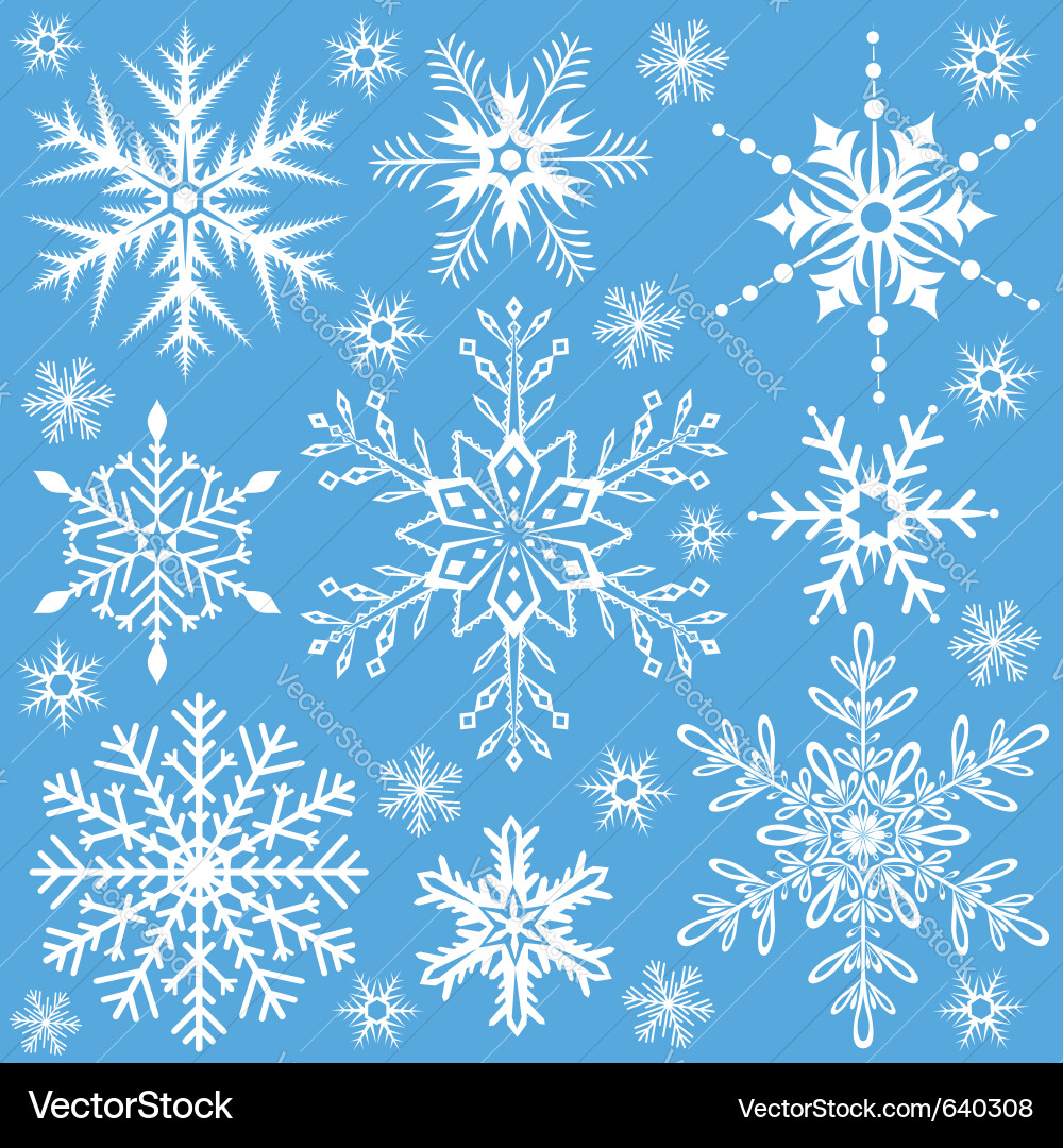 Winter Snowflake Pattern vector image