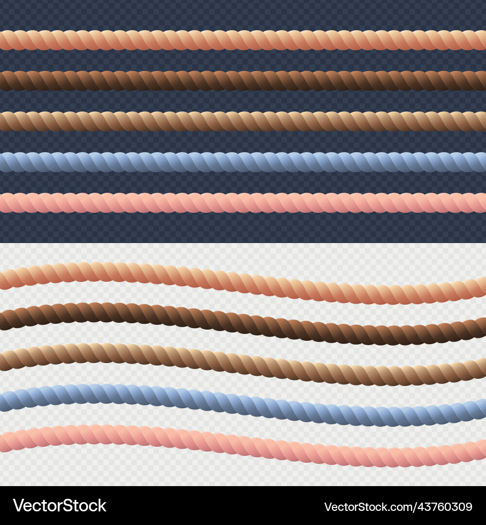 Different rope line set color Vector Image