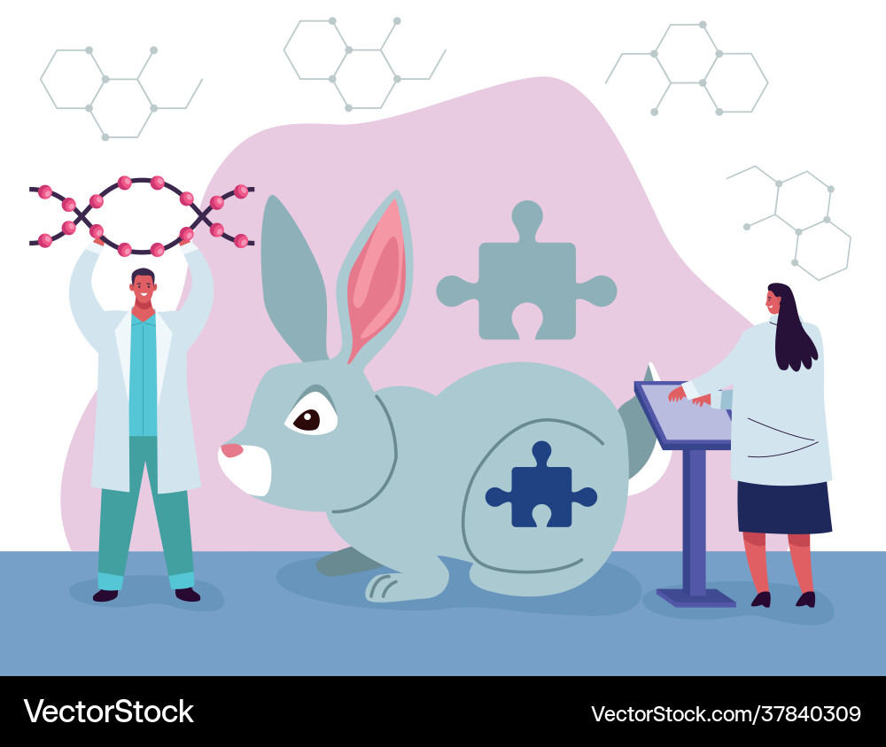 Genetic testing with rabbit vector image