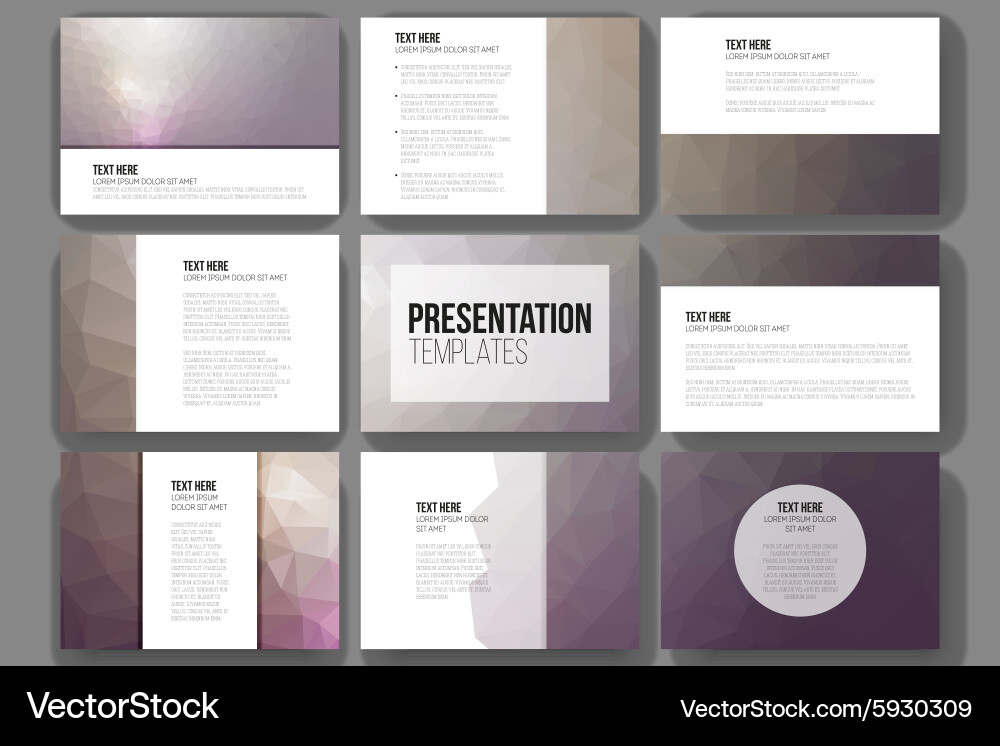 Set of 9 templates for presentation slides vector image