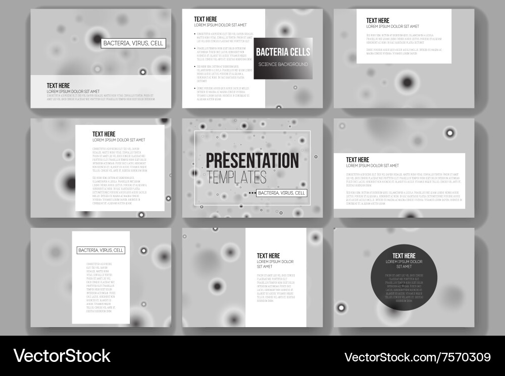 Set of 9 templates for presentation slides vector image
