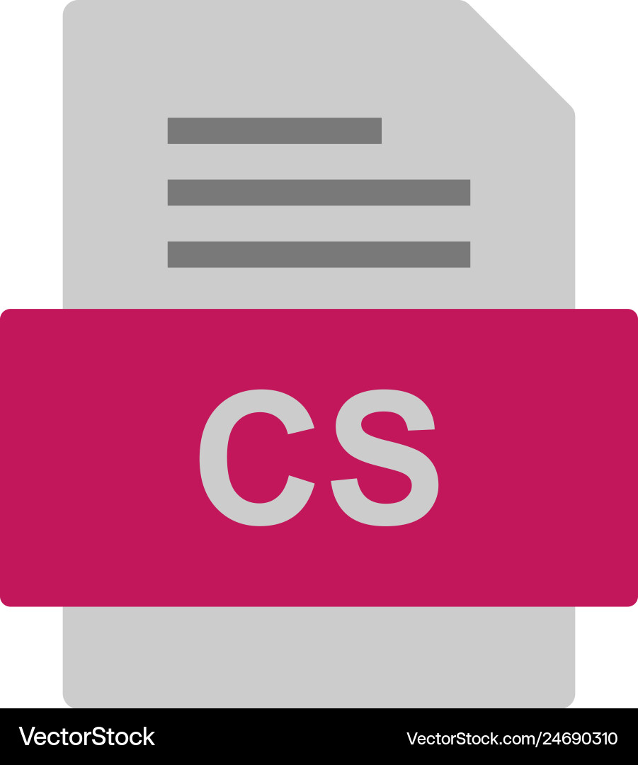Cs file document icon vector image