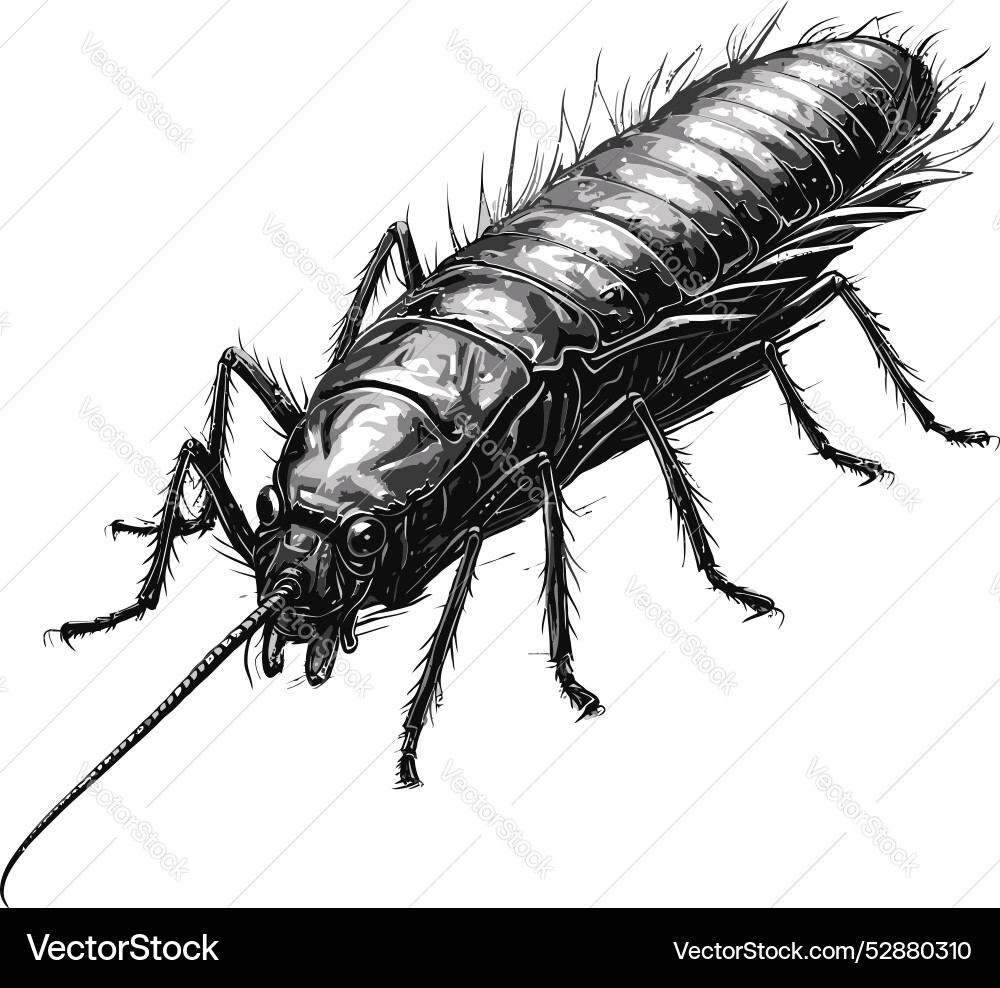 Elegant silverfish design silverstream mastery Vector Image