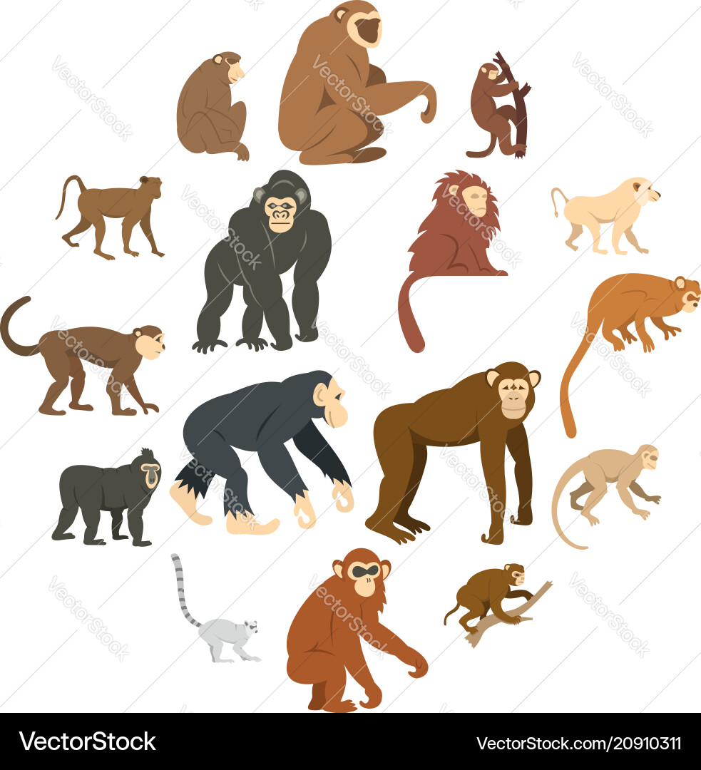 Monkey types icons set in flat style Monkey types icons set in flat style vector image