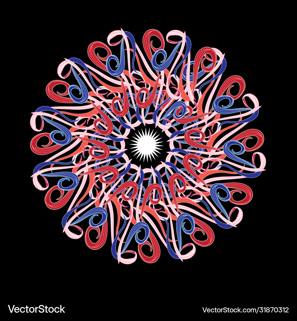 Graphic circular pattern Graphic circular pattern vector image