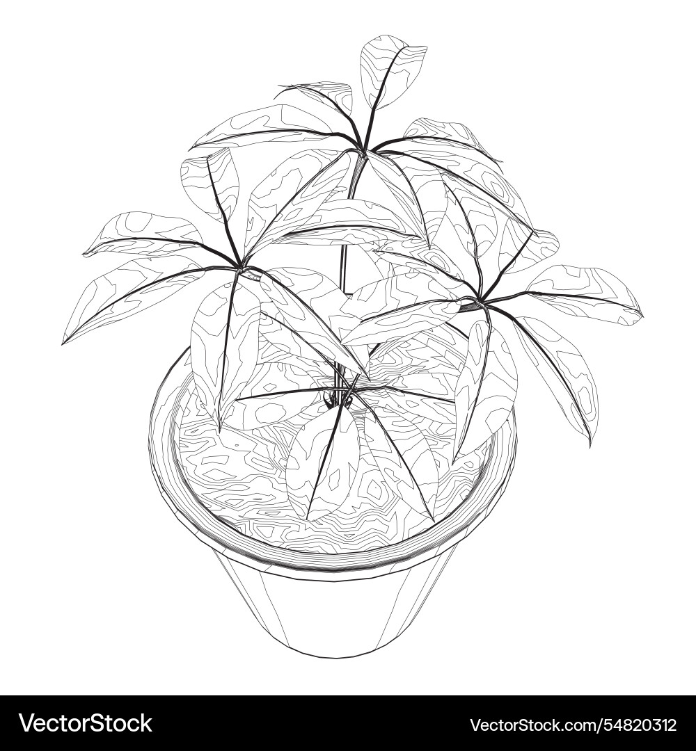 Plant in flower pot outline line solid and filled Plant in flower pot outline line solid and filled vector image