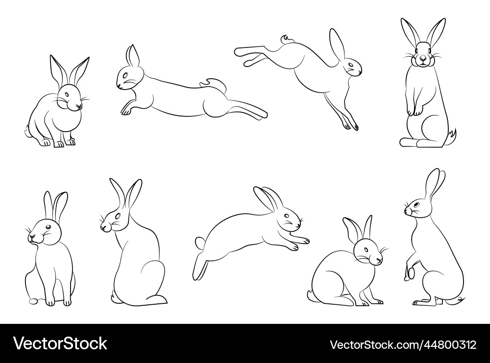 Set of bunny in simple one line style Vector Image