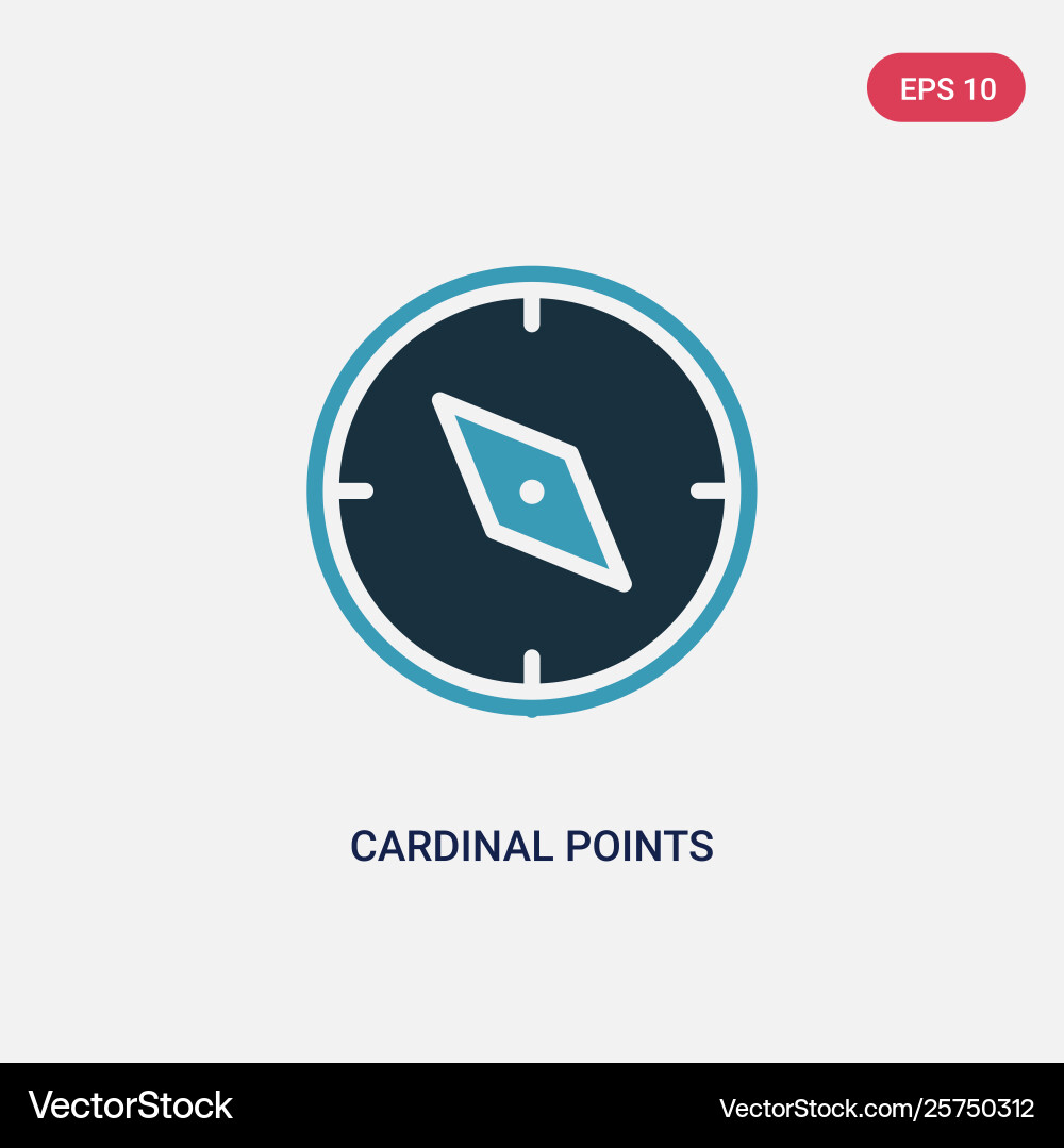 Two color cardinal points icon from tools Two color cardinal points icon from tools vector image