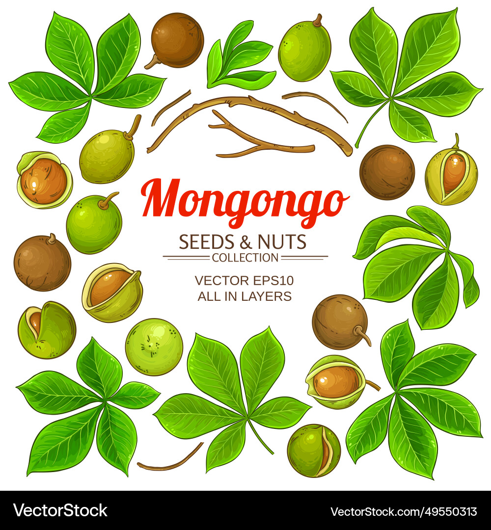 Mongongo elements set Mongongo elements set vector image