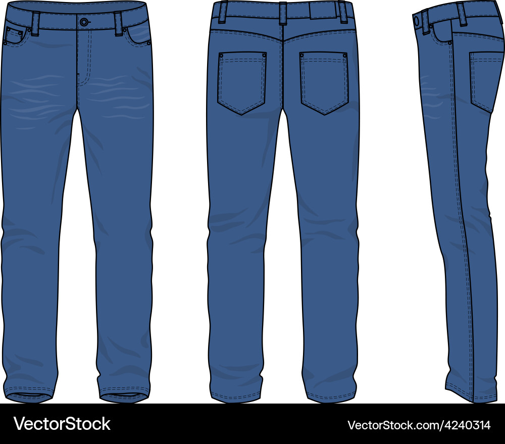 Mens jeans Royalty Free Vector Image - VectorStock