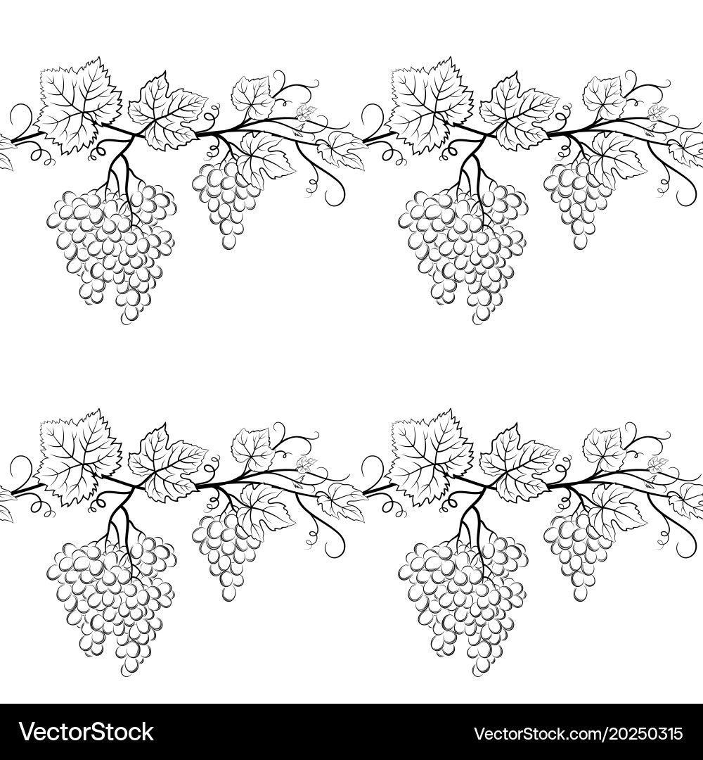 Grapes Seamless Pattern vector image