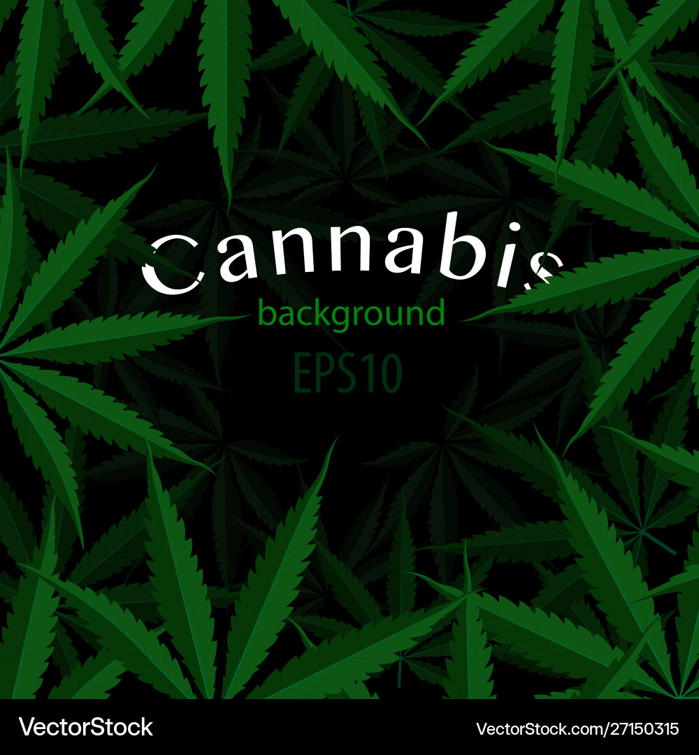 Hintergrund Cannabis Blatt Drogen Marihuana Gras Hintergrund Cannabis Blatt Drogen Marihuana Gras vektorbild