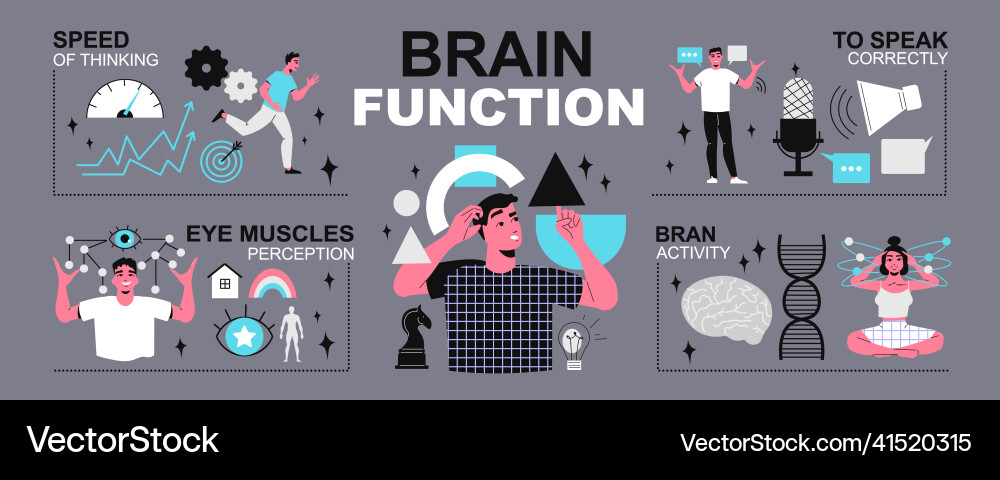 How brain functions infographics How brain functions infographics Vector Image