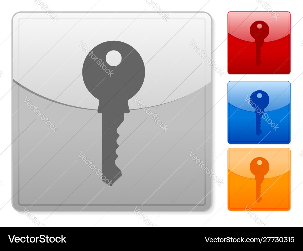 Square web buttons key vector image