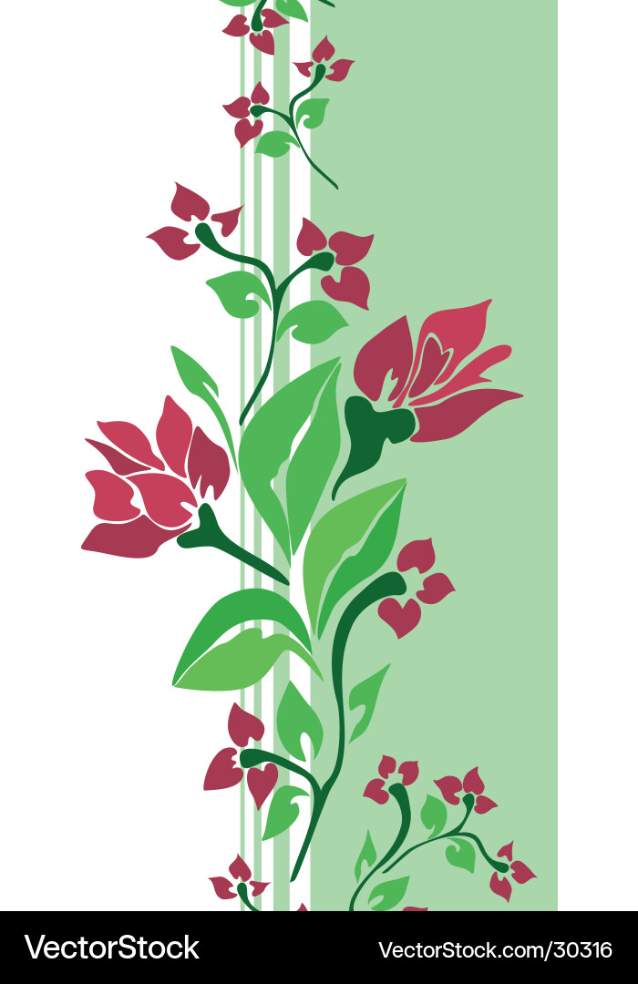 Floral Scroll Pattern Vector Image