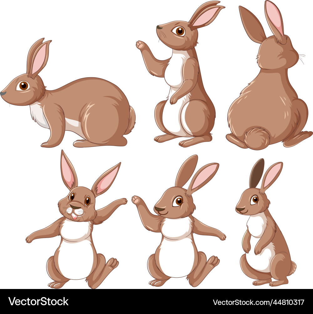 Brown Rabbits in Various Poses Vector Image