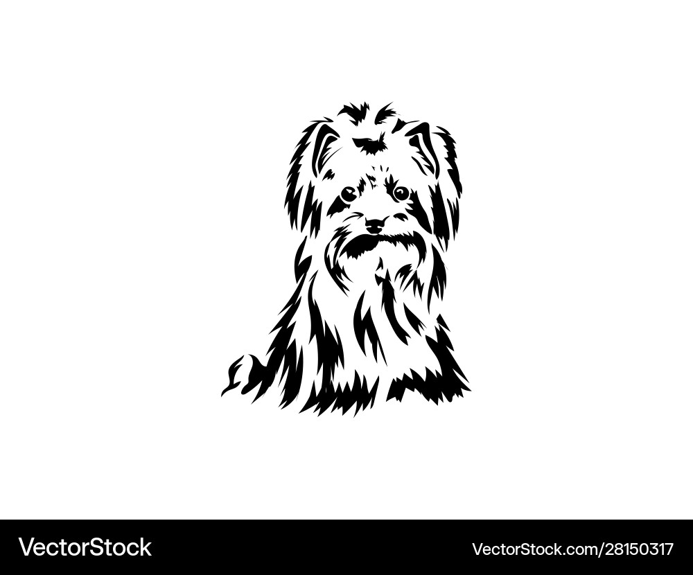 Sketch funny dog yorkshire terrier breed sitting vector image