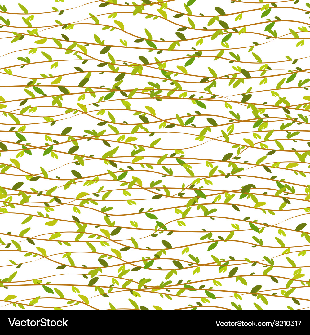 Spring Willow Branch Pattern vector image