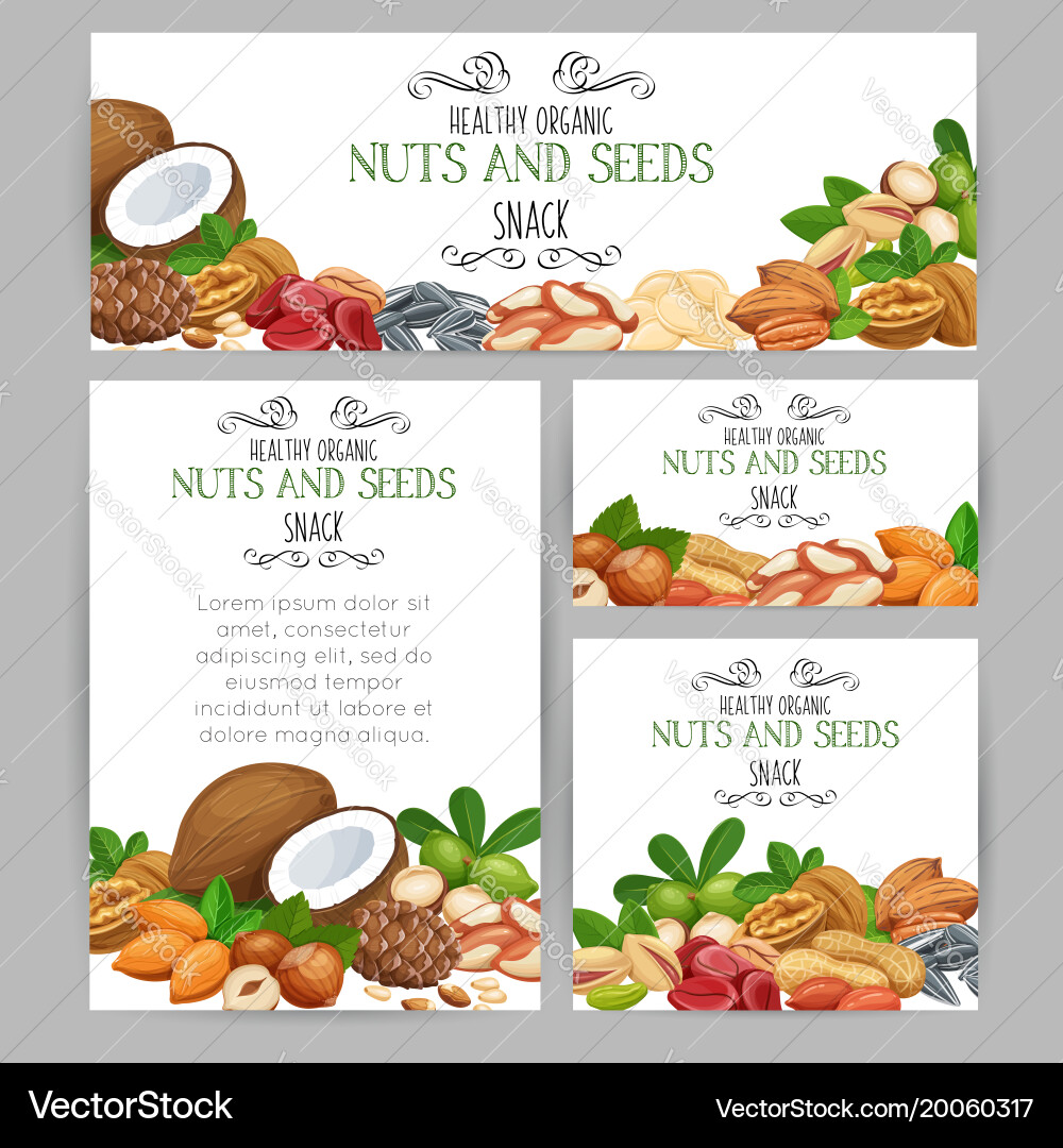 Template with nuts and seeds vector image