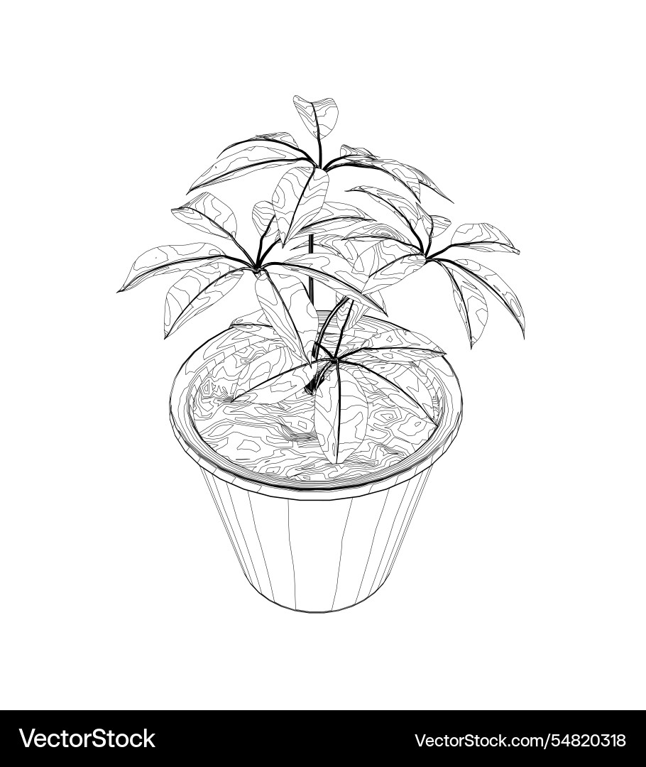 Plant in flower pot outline line solid and filled Plant in flower pot outline line solid and filled vector image