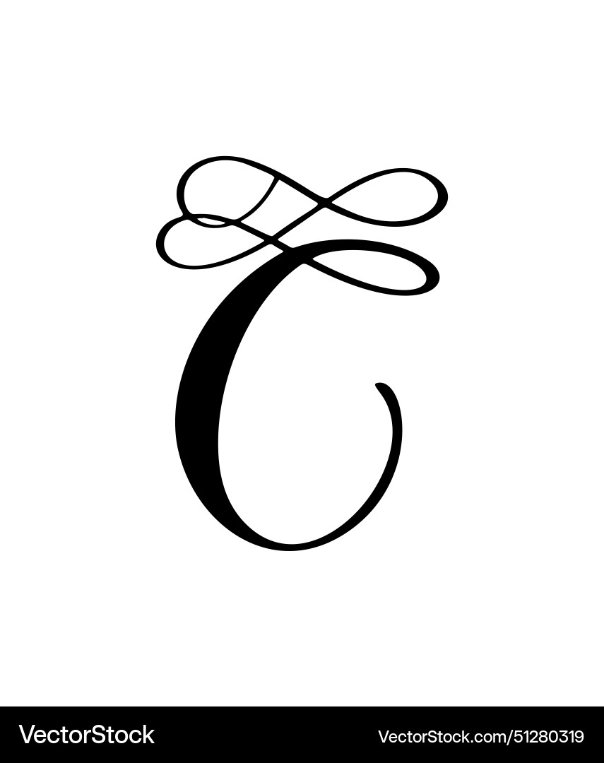 Hand drawn calligraphy letter c script Hand drawn calligraphy letter c script vector image