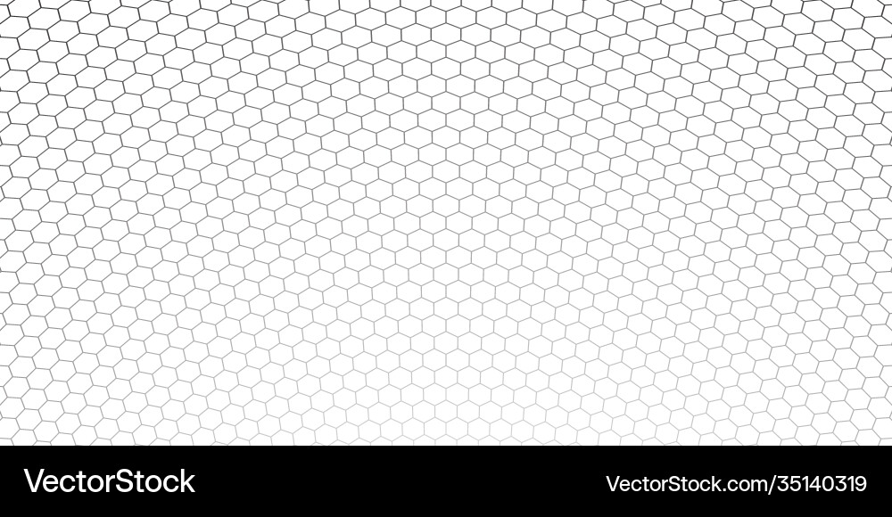 Honeycomb hexagon background pattern isolated vector image