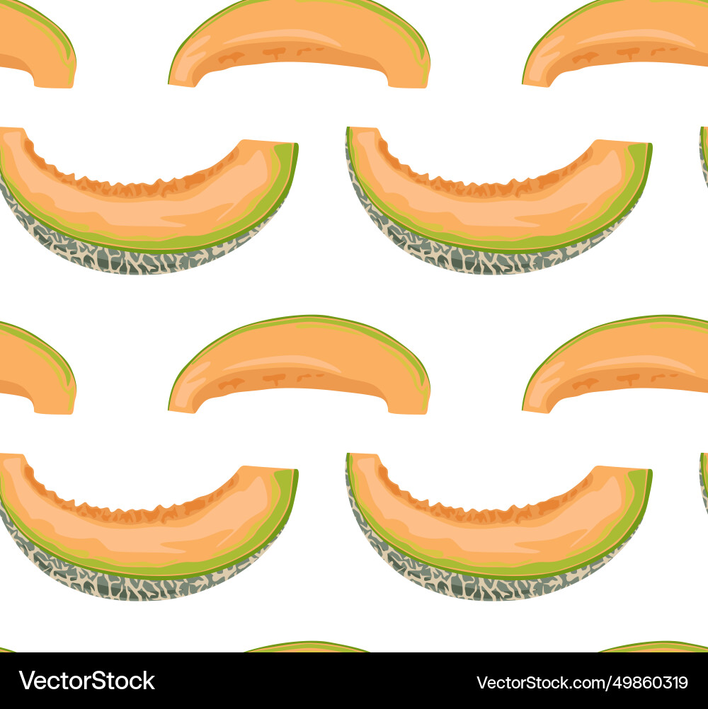 Melon slices from different angles Vector Image