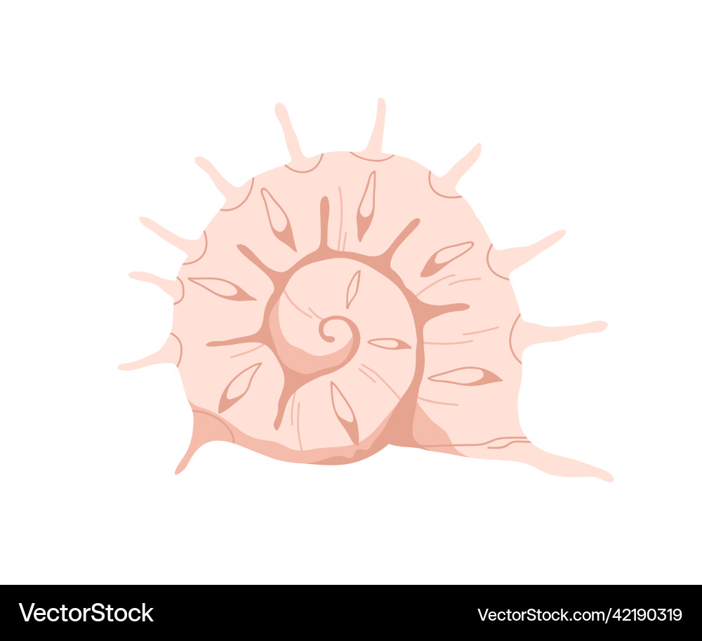 Sea shell with spikes spiral twirled seashell Sea shell with spikes spiral twirled seashell vector image