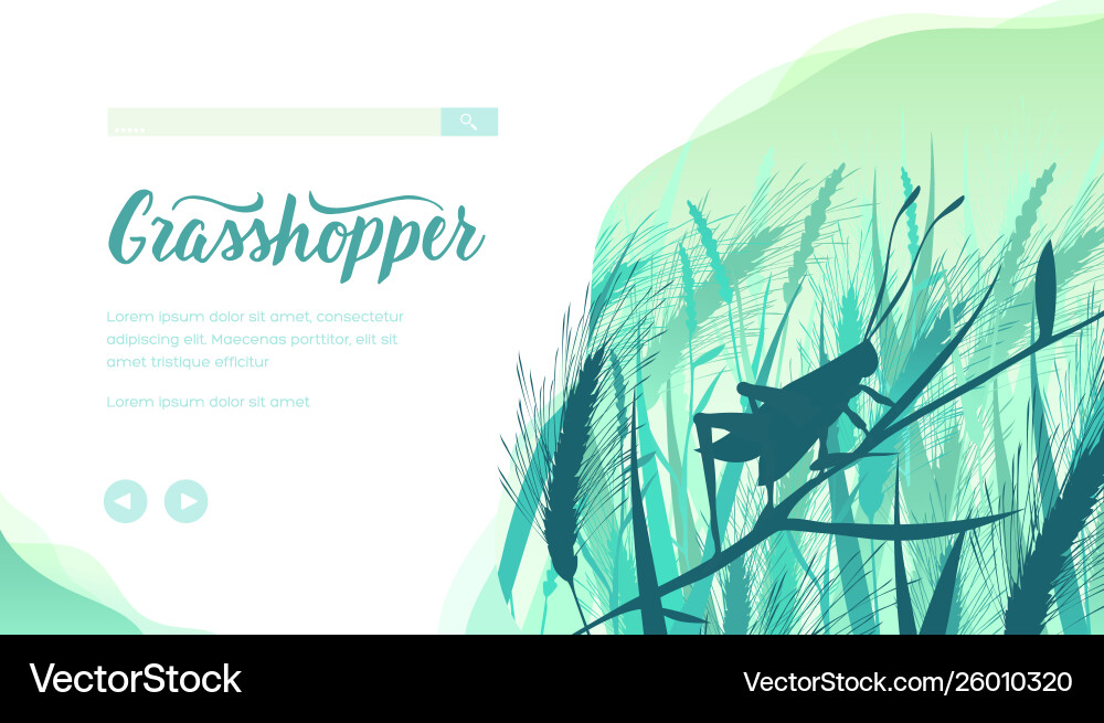 Grasshopper landing page template Grasshopper landing page template Vector Image