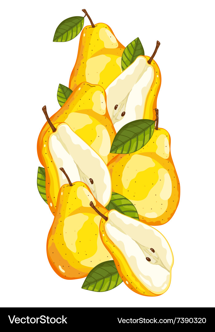 Pear isolated composition Royalty Free Vector Image