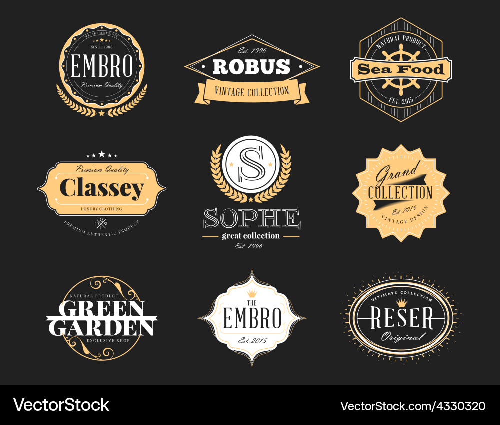 Retro Vintage Badge Set Vector Image
