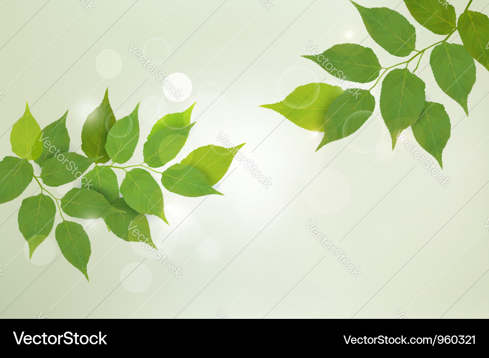 Nature green background Royalty Free Vector Image