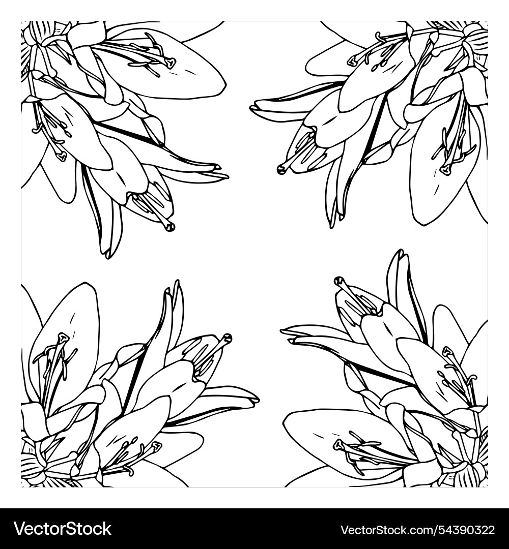 Frame with lilies in doodle style element Frame with lilies in doodle style element Vector Image