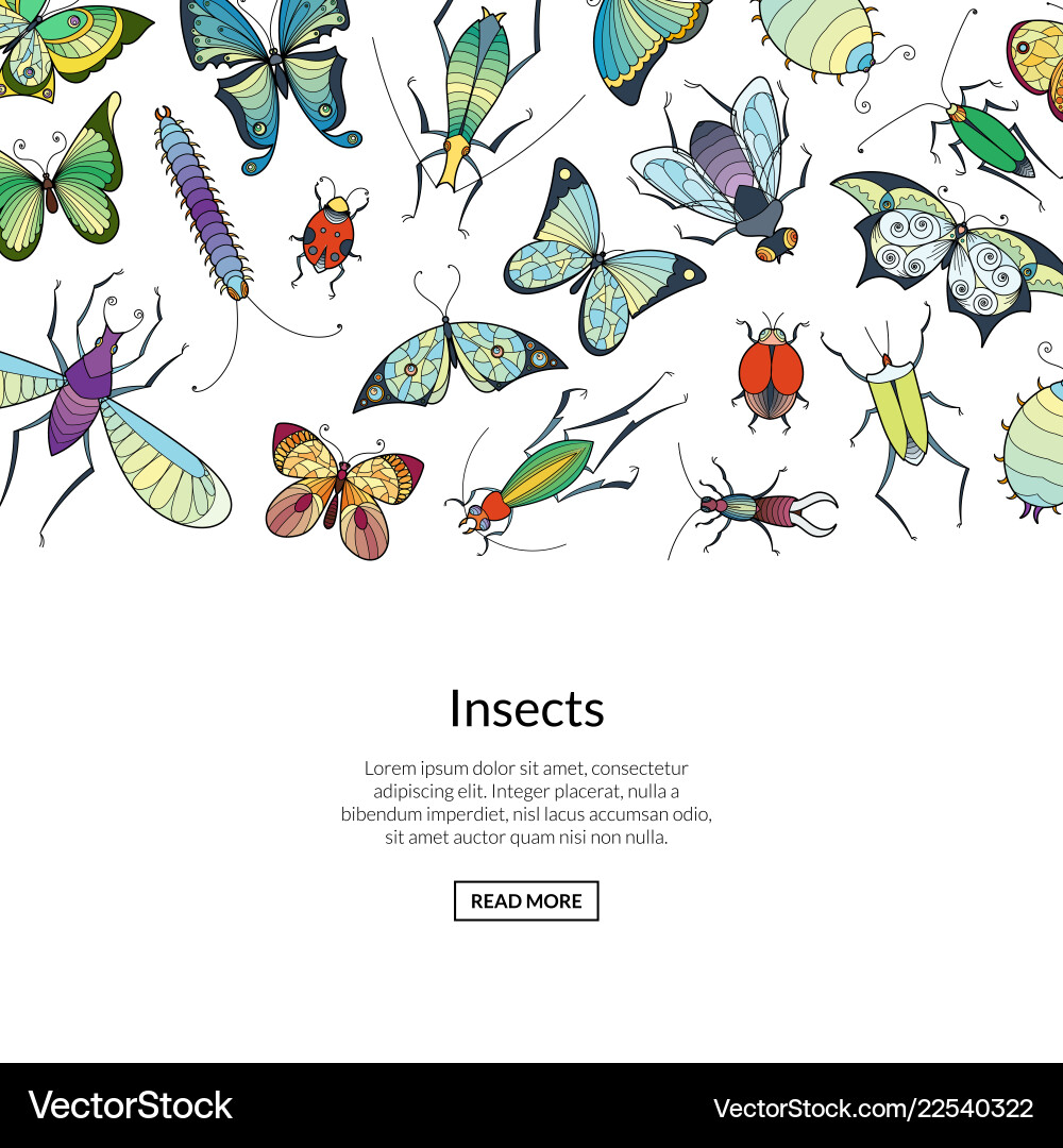 Hand-Drawn Insekten-Banner Vektorbild